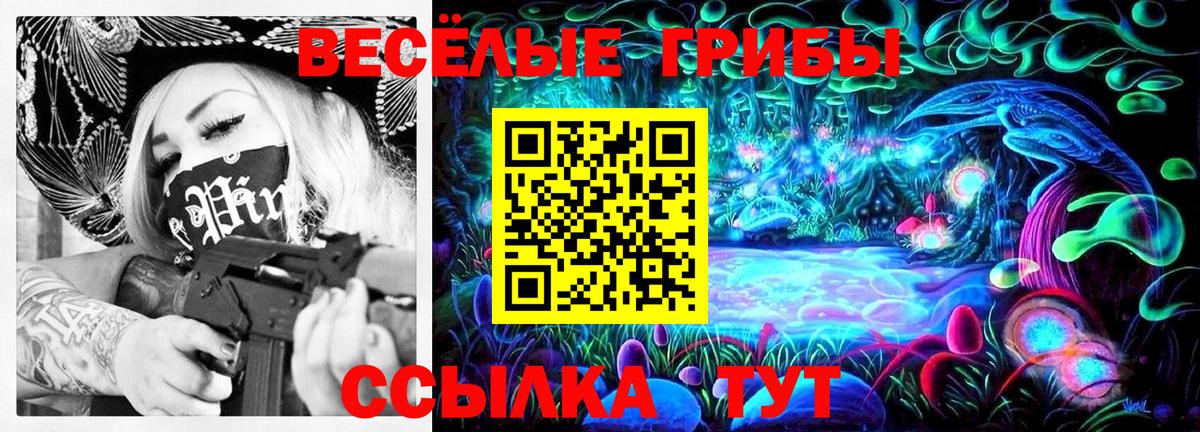 Сосновый Бор  Псилоцибиновые грибы мицелий  Вход с VPN 